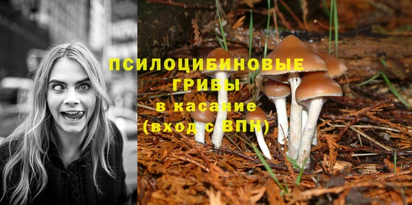 эйфоретик Баксан