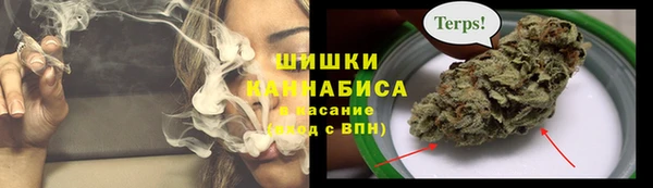 эйфоретик Баксан